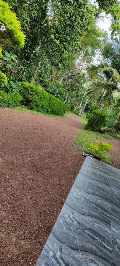 Sunset Villa Negombo Zewnętrze zdjęcie