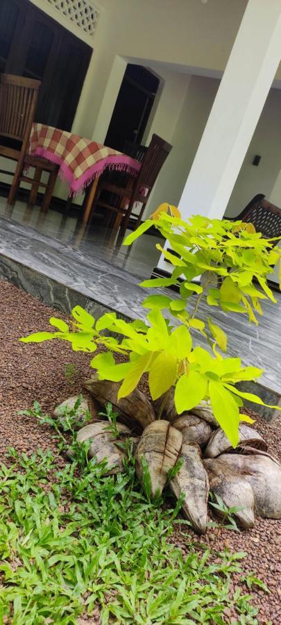 Sunset Villa Negombo Zewnętrze zdjęcie
