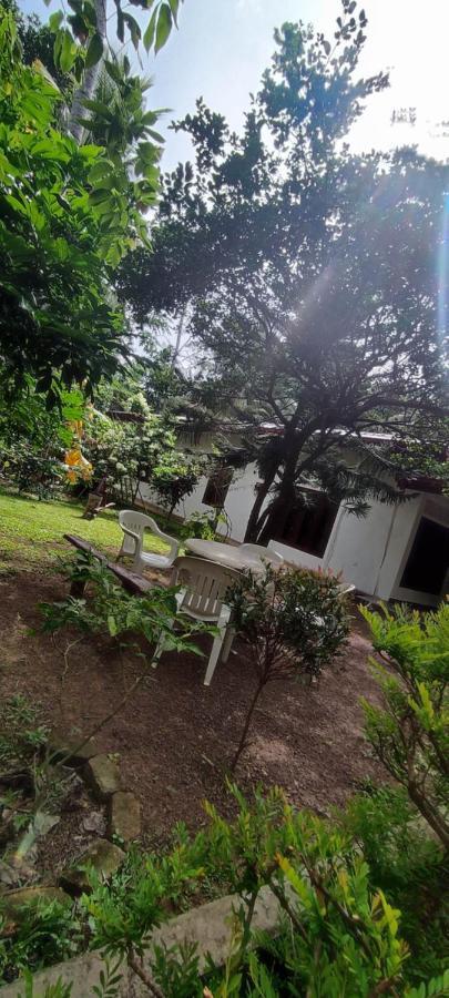 Sunset Villa Negombo Zewnętrze zdjęcie